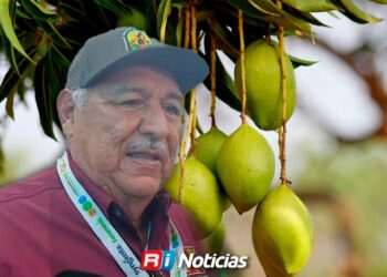 Floración de mango cae hasta 30% en el sur de Sinaloa por cambios en el clima
