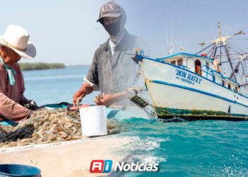 Sector camaronero enfrenta veda con presión en costos y mercado