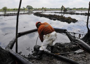Oceana califica de “insuficiente” gestión de Pemex por derrame de hidrocarburo el Golfo de México