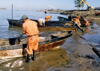 Recogen 889.4 toneladas de hidrocarburo en 48 playas del Golfo de México tras emanaciones