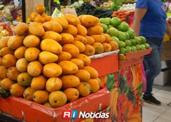 Producción de mango en el sur de Sinaloa se destina a exportación y mercado nacional