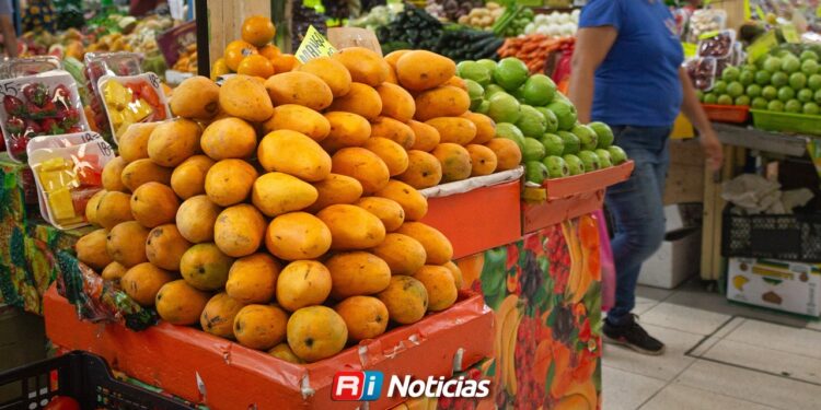 Producción de mango en el sur de Sinaloa se destina a exportación y mercado nacional