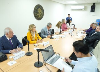 Aprueban Comisiones Unidas reformas que garantizan atención a salud mental