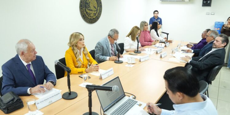 Aprueban Comisiones Unidas reformas que garantizan atención a salud mental