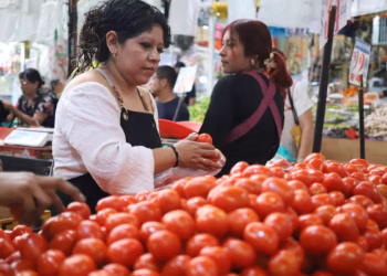 ¿Por qué subió el jitomate en México? Ya supera los 60 pesos pese a acuerdo para contener precios