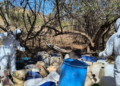 Marina en coadyuvancia con FGR, localizan y neutralizan un laboratorio clandestino en La Palma, Sinaloa