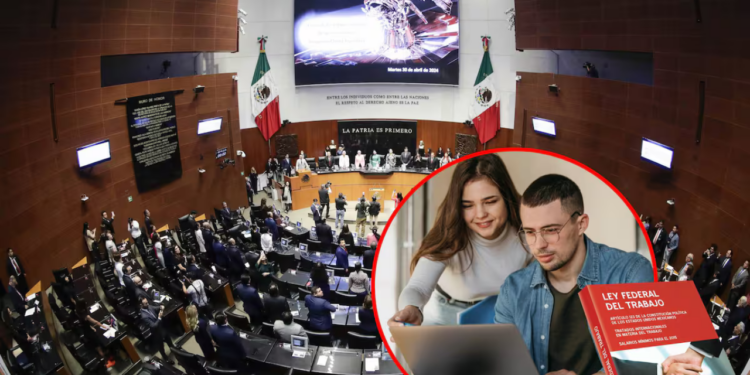 Senado impulsa reforma para obligar a empresas a contratar jóvenes; Prevén multas de hasta 293 mil pesos