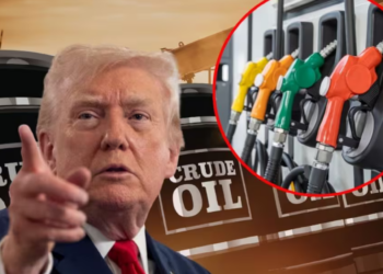 Precio del petróleo se desploma tras tregua entre Estados Unidos e Irán: Así impactará en México, la gasolina, el peso y los ingresos de Pemex