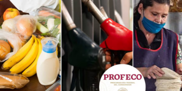 Canasta básica cuesta menos de $910 en México, confirma Profeco; Tortilla se mantiene en $24.27 y gasolina no rebasa $24 por litro, afirma Profeco