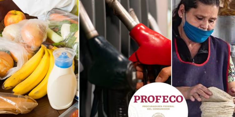 Canasta básica cuesta menos de $910 en México, confirma Profeco; Tortilla se mantiene en $24.27 y gasolina no rebasa $24 por litro, afirma Profeco