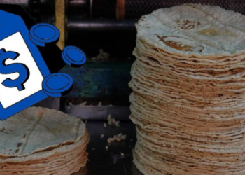 ¿Cuánto cuesta el kilo de tortilla HOY miércoles 15 de abril en México?