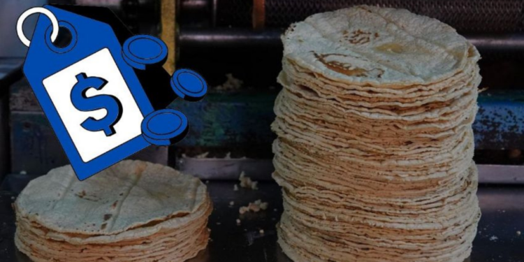 ¿Cuánto cuesta el kilo de tortilla HOY miércoles 15 de abril en México?