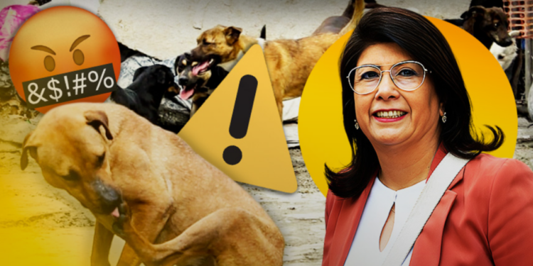 Senadora de Morena reconoce que sacrificó a 10 mil perros durante su gobierno en Tecámac