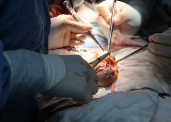 Logra IMSS Sinaloa dos trasplantes renales con apoyo de misión aérea