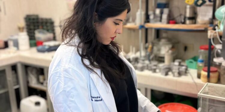 ¡Resistencia y ecología! Investigadora de la UAS impulsa el desarrollo de cementos híbridos de baja huella de carbono, a partir de residuos industriales