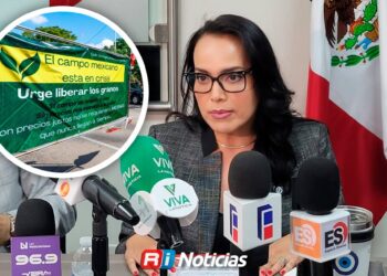 Campo en Sinaloa, en riesgo de desaparecer por crisis agrícola: PRI