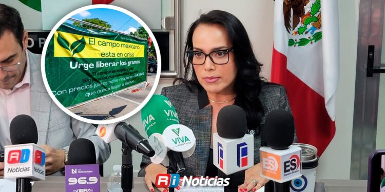 Campo en Sinaloa, en riesgo de desaparecer por crisis agrícola: PRI