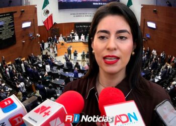 Secretaria de las Mujeres descarta ir al Senado, “estoy enfocada en mi trabajo”