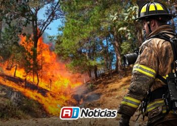 Incendios en Sinaloa a la baja, van siete en 2026: PC