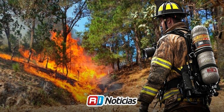 Incendios en Sinaloa a la baja, van siete en 2026: PC