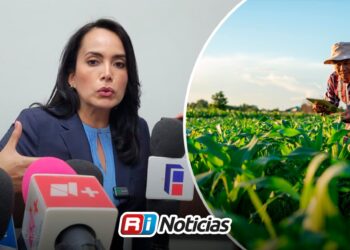 Productores de maíz enfrentarán deudas, a eso le apuesta el Gobierno Federal”: Irma Moreno