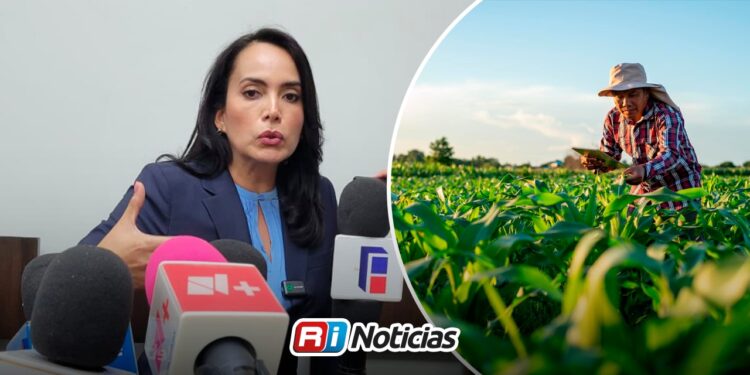 Productores de maíz enfrentarán deudas, a eso le apuesta el Gobierno Federal”: Irma Moreno