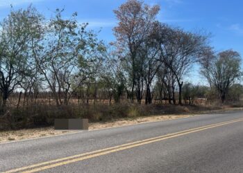 Encuentran a adulto mayor sin vida por la carretera a Imala, en Culiacán