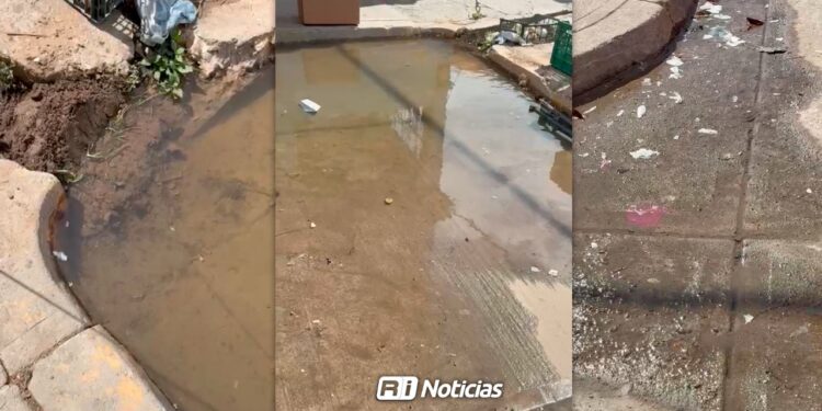 Vecinos reportan fuga de agua en Infonavit Alarcón desde hace más de una semana