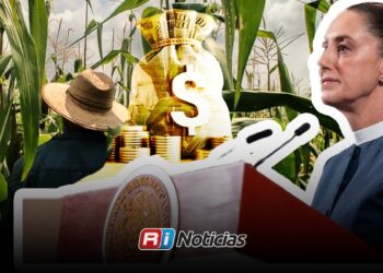 Sheinbaum autoriza pago pendiente a productores de maíz en Sinaloa