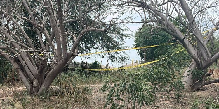 Localizan restos humanos en la sindicatura de Aguaruto, en Culiacán