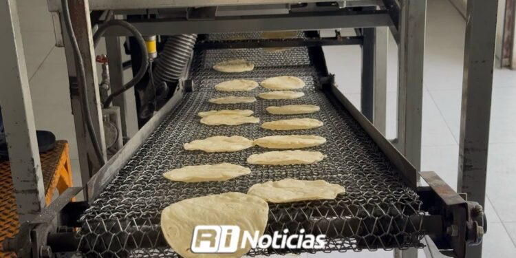 NO subirá el precio del kilo de tortilla en Mazatlán; Tortilleros podrían mantenerlo todo el 2026