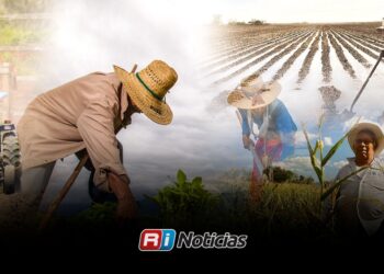 Crisis agrícola causa perdida de 25 mil empleos en Sinaloa: PRI