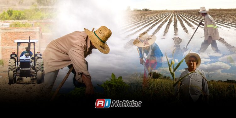 Crisis agrícola causa perdida de 25 mil empleos en Sinaloa: PRI