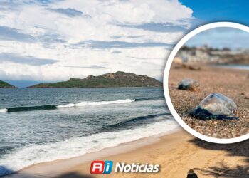 Presencia de quemadores en playas de Mazatlán: Se activan protocolos preventivos