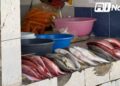 Mercado de la Isla de la Piedra NO registró buenos números en Pascua