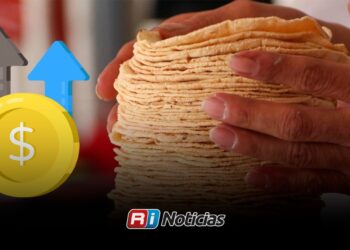 ¿Subirá el kilo de tortilla a partir de mañana miércoles en Mazatlán? Esto es lo que sabemos