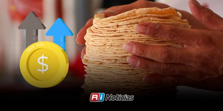 ¿Subirá el kilo de tortilla a partir de mañana miércoles en Mazatlán? Esto es lo que sabemos