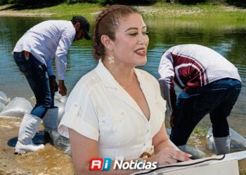 Faltan inspectores federales para vigilancia pesquera en Sinaloa: Flor Emilia