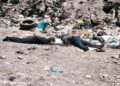 Localizan dos hombres asesinados en zona del basurón de Culiacán
