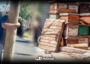 Mujer sufre más de 200 picaduras tras ataque de abejas en la colonia Pemex, en Culiacán