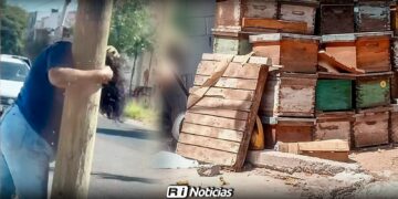 Mujer sufre más de 200 picaduras tras ataque de abejas en la colonia Pemex, en Culiacán
