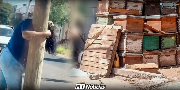 Mujer sufre más de 200 picaduras tras ataque de abejas en la colonia Pemex, en Culiacán
