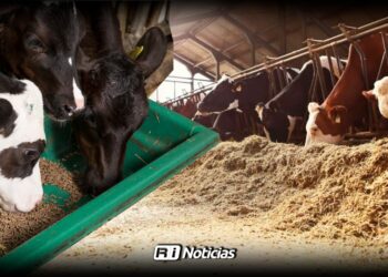 Reducen costo de alimento para mitigar efectos de sequía