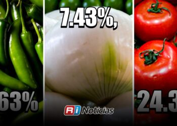 Jitomate, chile y cebolla lideran el alza en la canasta básica durante la primera quincena de abril en México
