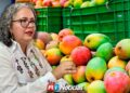 Mala temporada de mango y camarón golpea al sur de Sinaloa