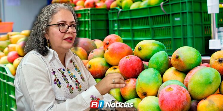 Mala temporada de mango y camarón golpea al sur de Sinaloa