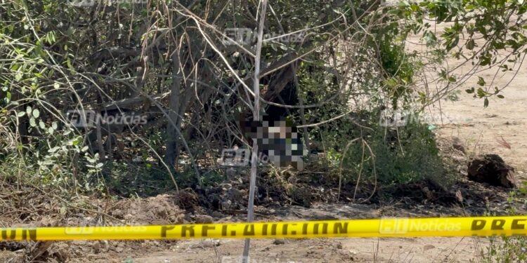 Amarrado de manos, localizan sin vida a un hombre a un costado de la termoeléctrica, al sur de Mazatlán