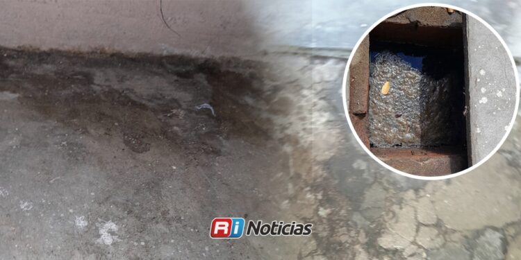 Fuga de drenaje en Mazatlán genera riesgos sanitarios en la colonia Centro