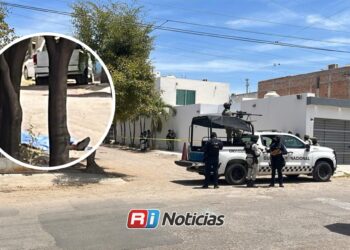 Ejecutan a dos jóvenes en Riberas de Tamazula en Culiacán