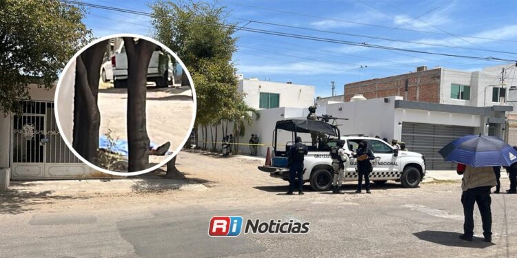 Ejecutan a dos jóvenes en Riberas de Tamazula en Culiacán